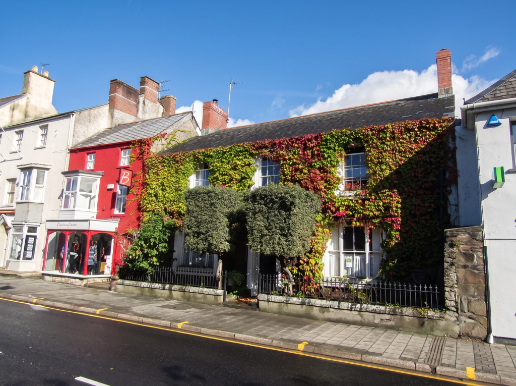 Independent shopfronts on Cowbridge High Street, one covered in ivy