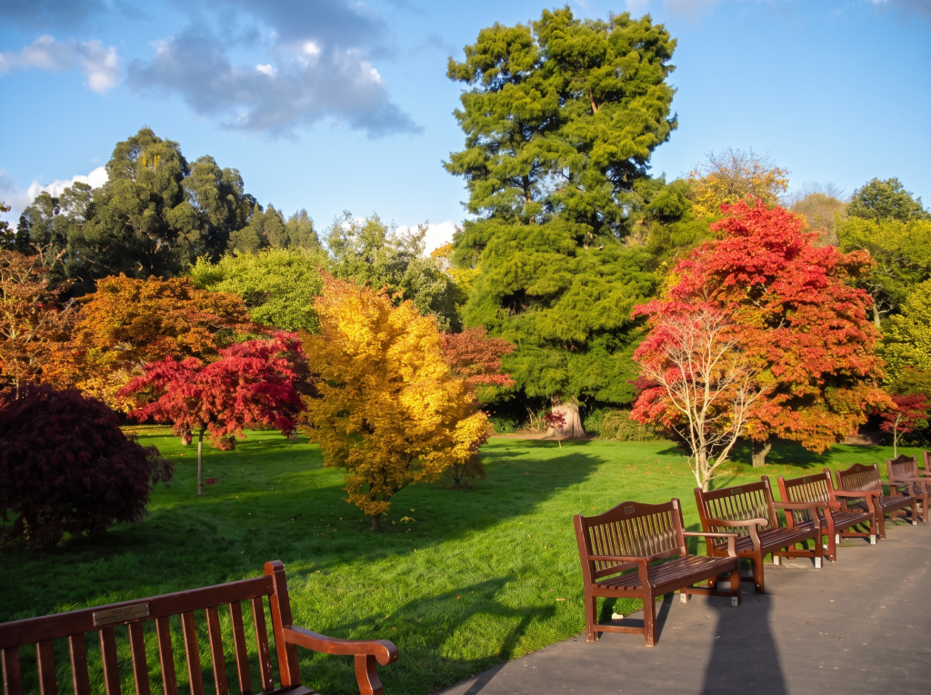 Autumn colour in Roath Park, Cardiff